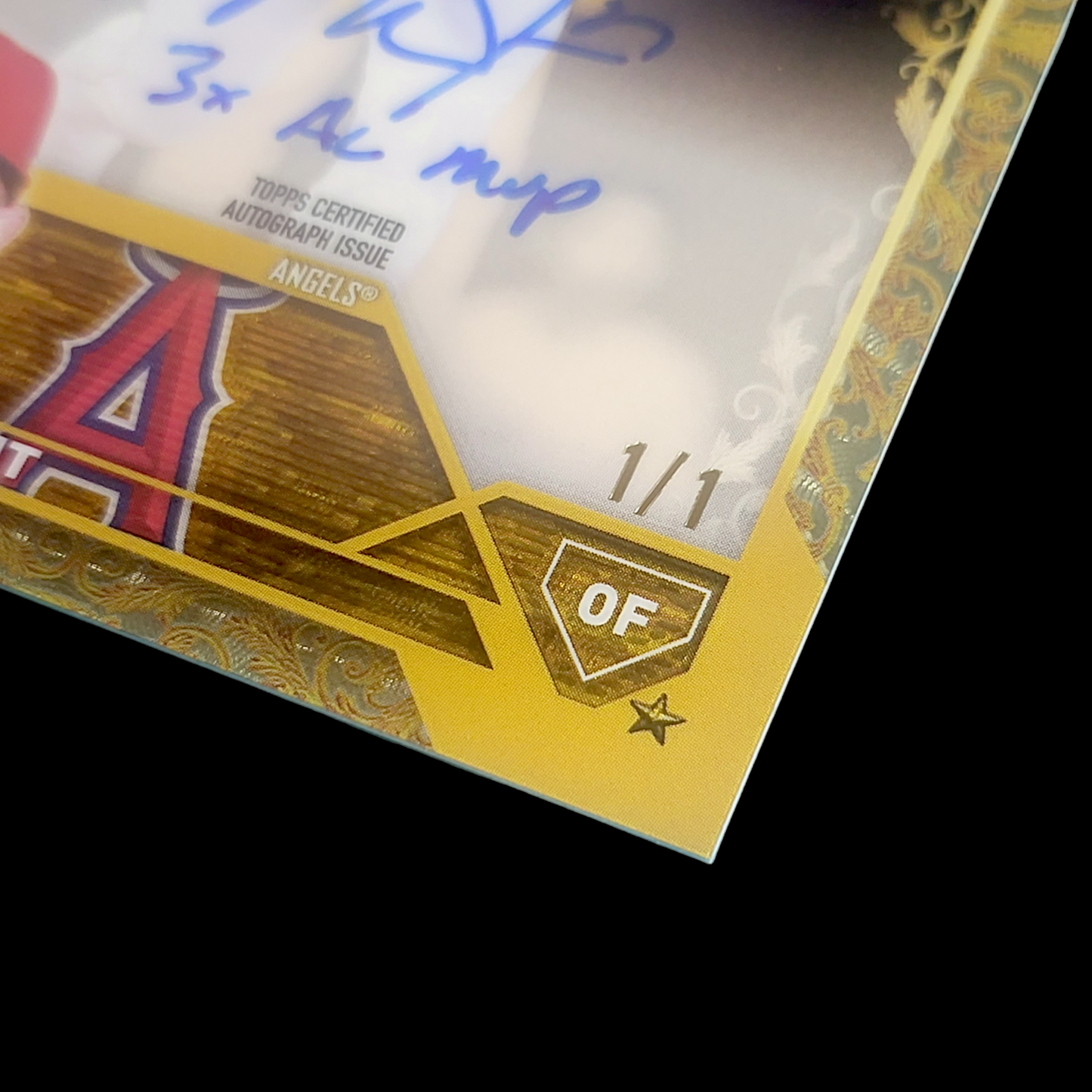 DADDDDDDDDDDDYYYYYYYYYYYYYYYYYYYYYYYYYYYYYYYYYYYYYY  TROUT