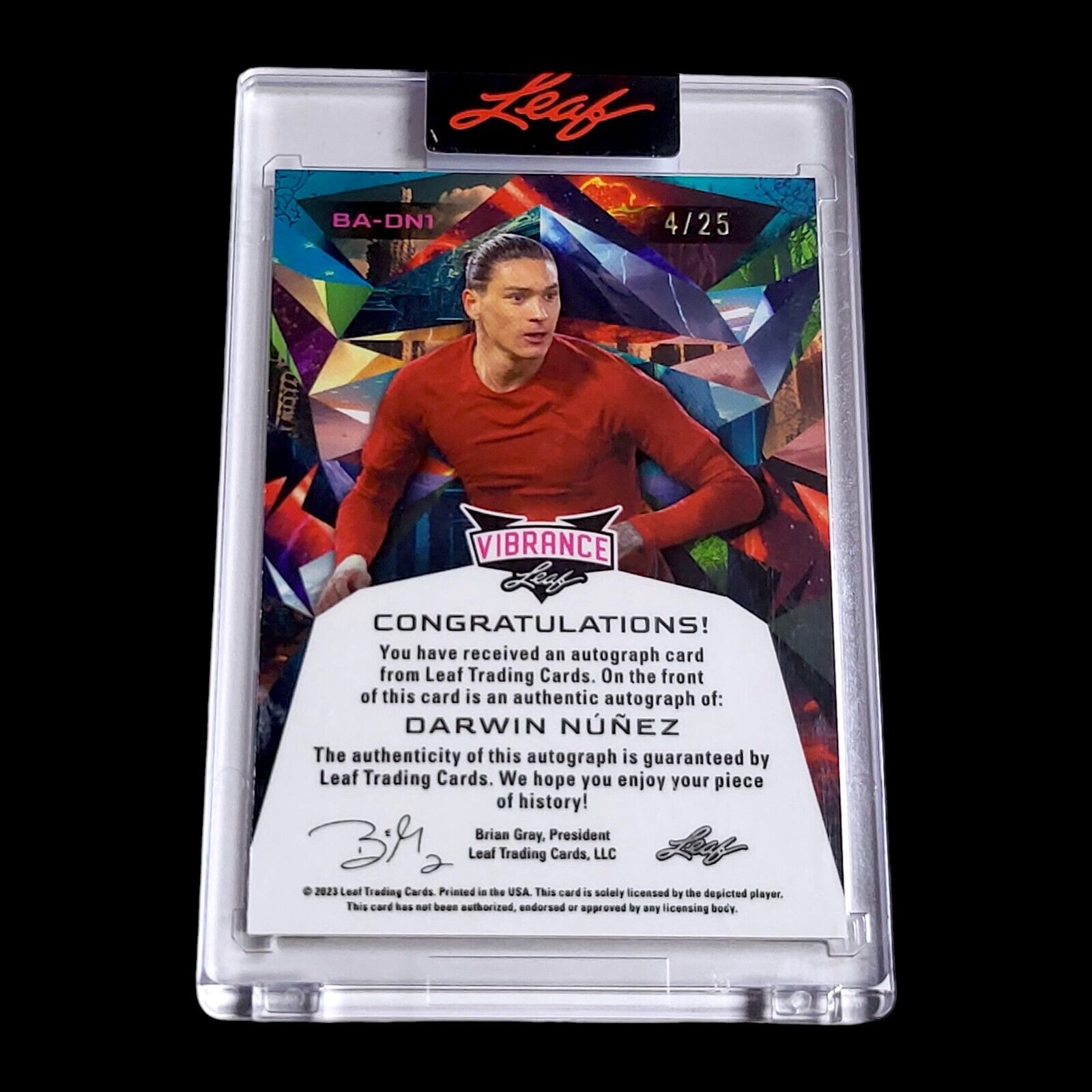 2023 Leaf Vibrance DARWIN NUNEZ Liverpool SP Encased Soccer Auto /25 #BADN1